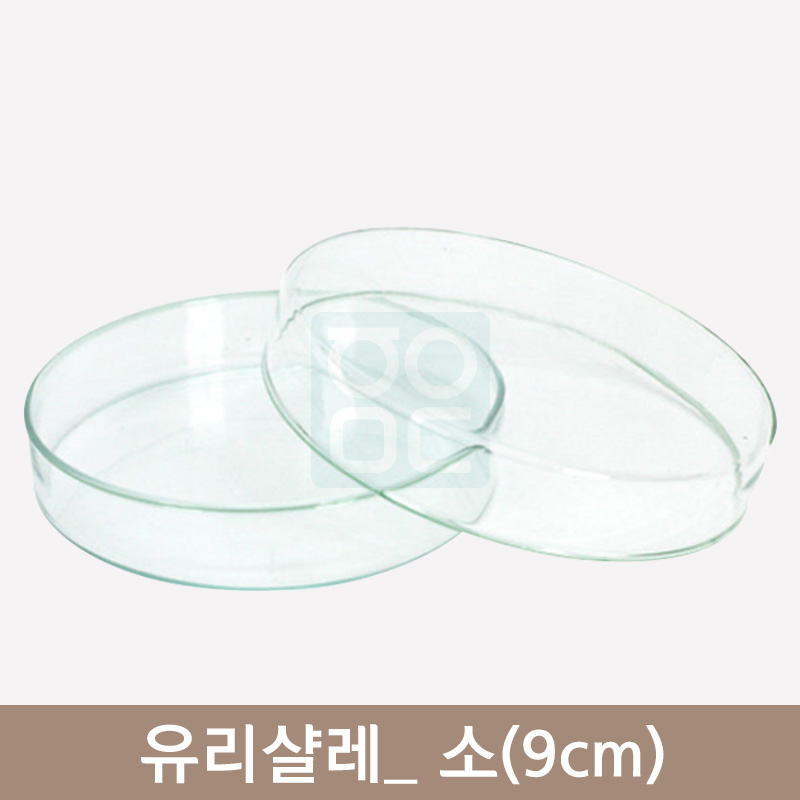 <big>유리샬레</big><br>소(9cm)