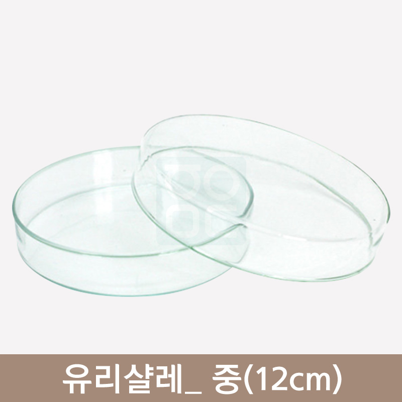 <big>유리샬레</big><br>중(12cm)