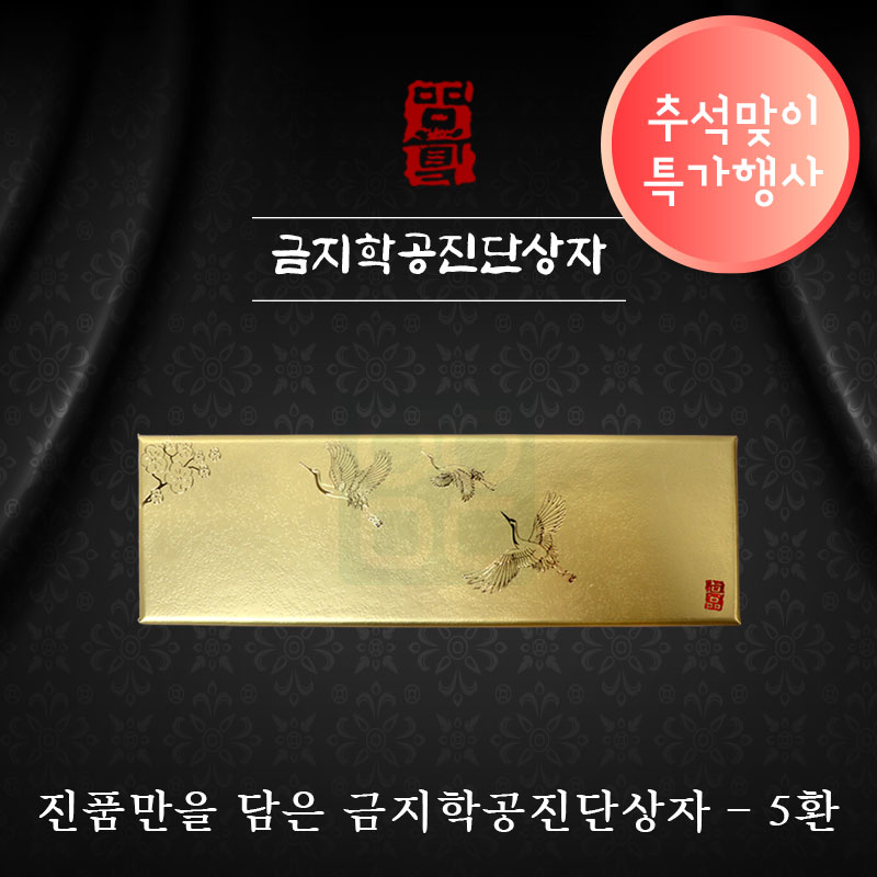 [한의md]<br>금지학공진단상자<br>5환