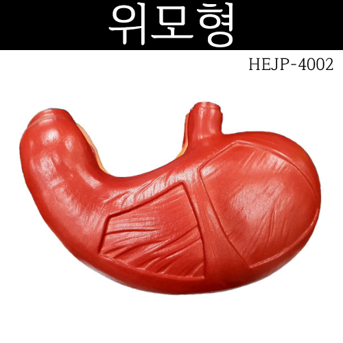 위모형<BR>HEJP-4002