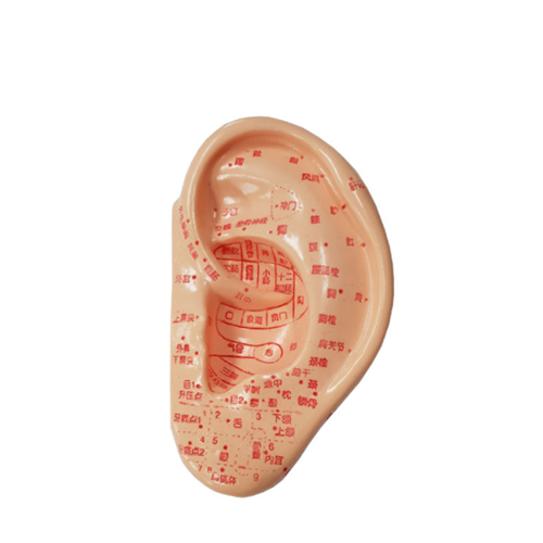 귀모형 13.5cm<BR>HEZY-2003HD