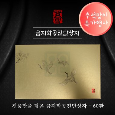 [한의md]<br>금지학공진단상자<br>60환