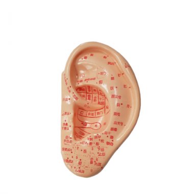 귀모형 13.5cm<BR>HEZY-2003HD