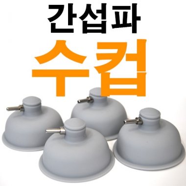 [MD정품]<br>간섭파(수)컵<br>4개1조