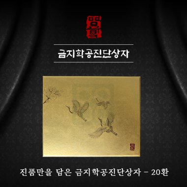 [한의md]<br>금지학공진단상자<br>20환