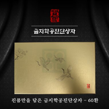 [한의md]<br>금지학공진단상자<br>60환