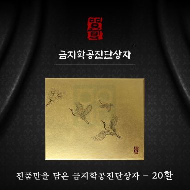[한의md]<br>금지학공진단상자<br>20환