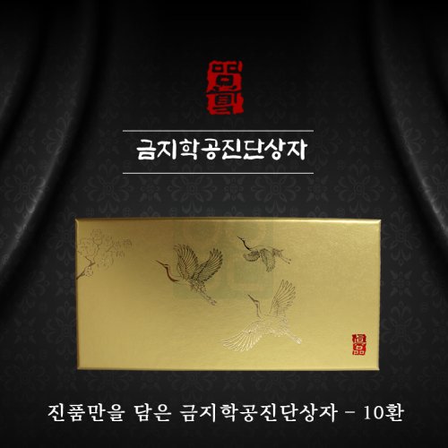 [한의md]<br>금지학공진단상자<br>10환